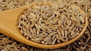 የ ከሙን /Cumin የተፈጥሮ የጤና በረከቶች