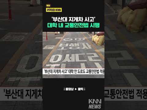 &amp;#39;<strong>부산대</strong> 지게차 사고&amp;#39; 대학 안 도로도 교통안전법 적용 / KNN