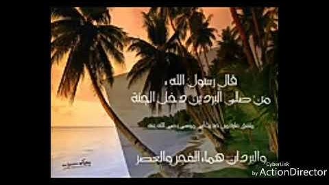 تلاوة من تسجيلي من صلاة التراويح تقليد الشيخ ماهر المعيقلي ما شاء الله