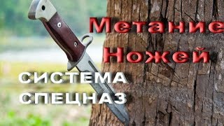 Вадим Старов Метание Ножей "Система Спецназ" Вадим Старов Метание Ножей "Система Спецназ"