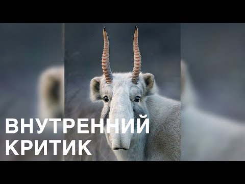 Виктория Дубинская. Внутренний критик. Техники работы.