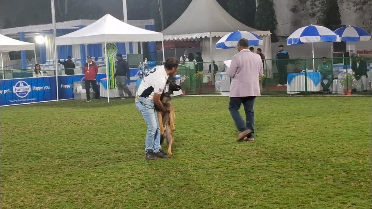Dog Show in Jamshedpur YouTube