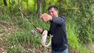 Thành 47 Vlog || Lên cá liên tục khi gặp ổ cá Trèn ( câu cá sông Serepok) # Fishing#caucasong