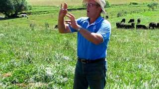 Joel Salatin of Polyface Farms discusses grassfed cattle