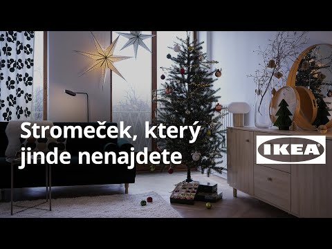 Video: Jak říct všechno nejlepší k narozeninám: 12 kroků (s obrázky)