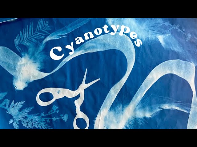 beginner cyanotype tutorial