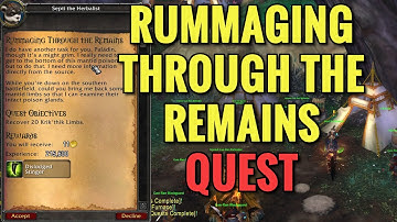 Rummaging Through The Remains Quest (WoW MOP)