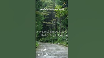 تلاوة هادئة ومريحة للقارئ علي باجبير العدني، تساعدك على التأمل/Ali Bagbir