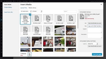 Adding a PDF File to Page with WordPress