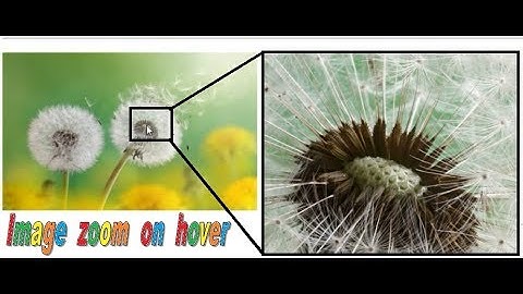 How to create image zoom effect like Flipkart with html , css & js