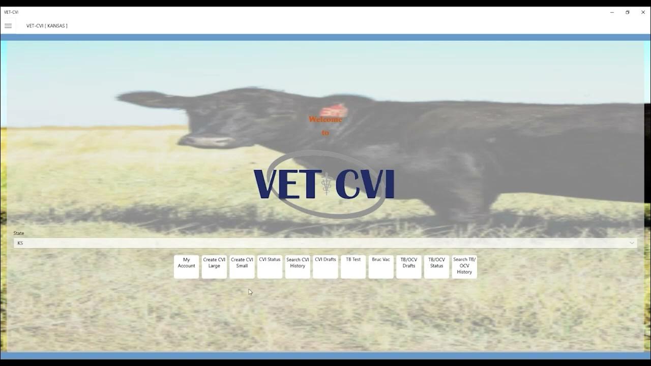 Learn More Electronic CVI Live inar YouTube