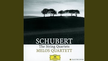 Schubert: String Quartet No. 7 in D Major, D. 94: I. Allegro