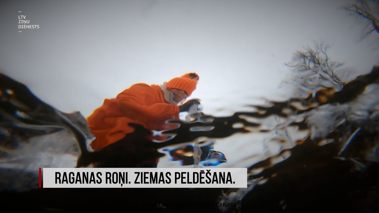 "Aculiecinieks" - Raganas roņi. Ziemas peldēšana