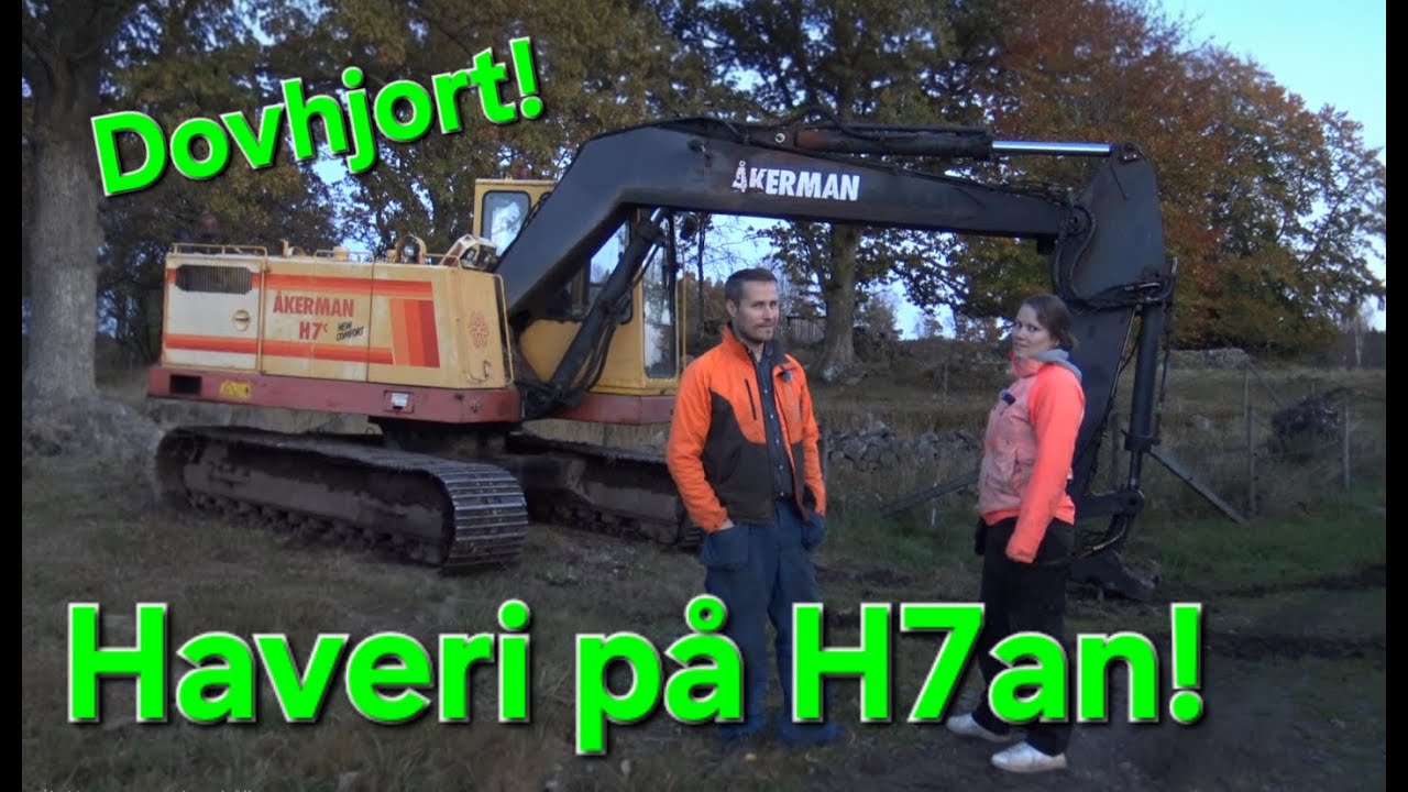 Haveri på H7an!