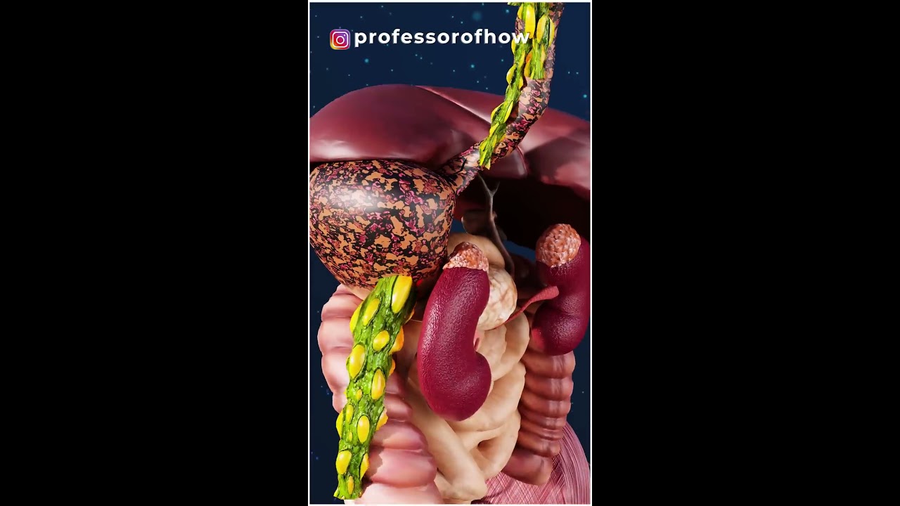 What Exactly Happens In Body After Drinking Poison Shorts