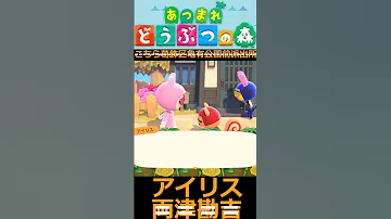 ちっくしょ 料理 なんてこりごりだぁ Part72 By 両津勘吉 アイリス あつまれどうぶつの森 こちら葛飾区亀有公園前派出所 