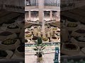 مطار الملك خالد الرياض الحبيبة  mp3