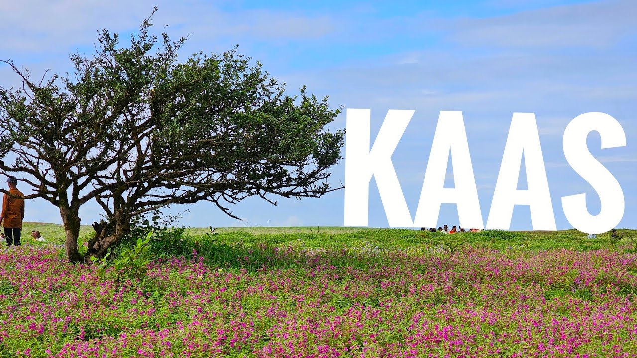 Kaas Pathar Vlog | Pune to Kaas Ride