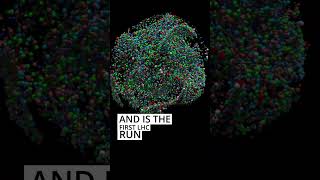 ATLAS releases first open data from heavy-ion collisions #cern #opendata