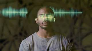 EMF Harmonizer