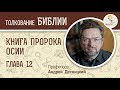 Книга пророка Осии. Глава 12. Андрей Десницкий. Ветхий Завет