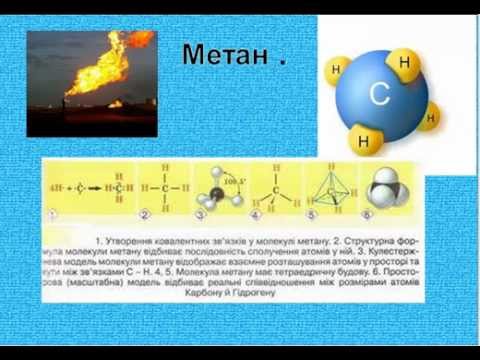 Видео: Тетраедрична водна лилия: снимка и описание