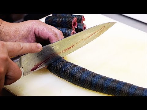 Video: Watter Slange Is Giftig