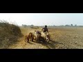 Village  a short pictorial documentary by tasveer nigar feat phamton 4 pro