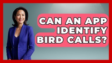 Can An App Identify Bird Calls? - Bird Watching Diaries