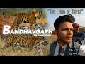 Chasing a huge tiger in bandhavgarh national park  safari