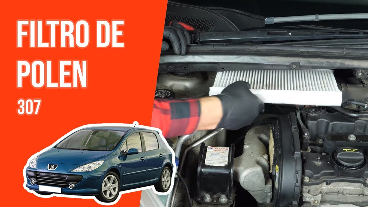 Cómo cambiar el filtro de polen / habitáculo PEUGEOT 307 👃 