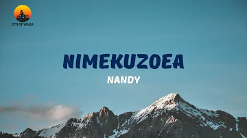 Nimekuzoea - Nandy(Official Video Lyrics)