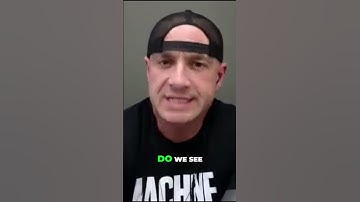 How to Embrace Chaos and Turn it into Opportunities for Success