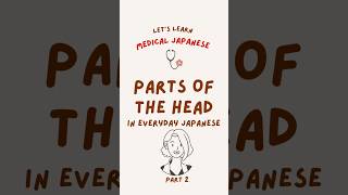 👀 Parts of the Head – Part 2