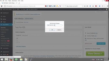 Wordpress Easy Media Gallery Stored XSS