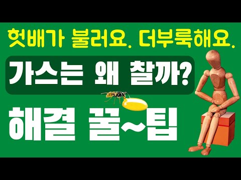 배에 가스 차는 이유, 팽만감 원인과 해결 꿀팁