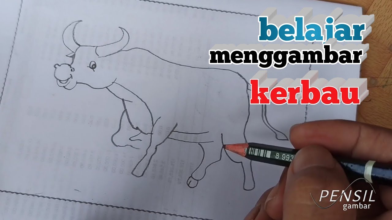  CARA  MENGGAMBAR  HEWAN  KERBAU MENGGUNAKAN PENSIL UNTUK  