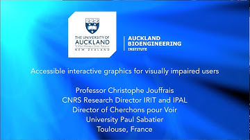 Accessible interactive graphics for visually impaired users