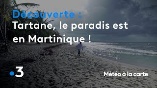 Tartane, le paradis est en Martinique ! - Météo à la carte screenshot 1