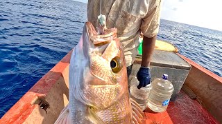 Hand Line Fishing for Rosy Snapper