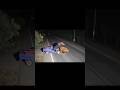 An elderly man riding a tricycle hit a cow and flew onto its back. #shorts #mishap #mishaps #booboo