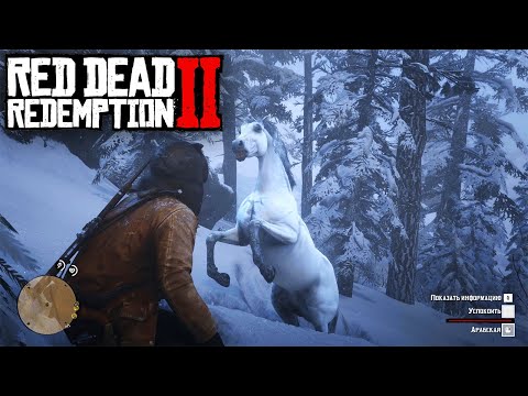 Red Dead Redemption 2 на ПК ► КАК ПРИРУЧИТЬ АРАБСКУЮ ЛОШАДЬ! АРАБСКИЙ СКАКУН! ГДЕ НАЙТИ! РДР 2 RDR 2