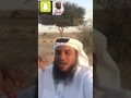 ابوسليمان نبات الطلح السوداني