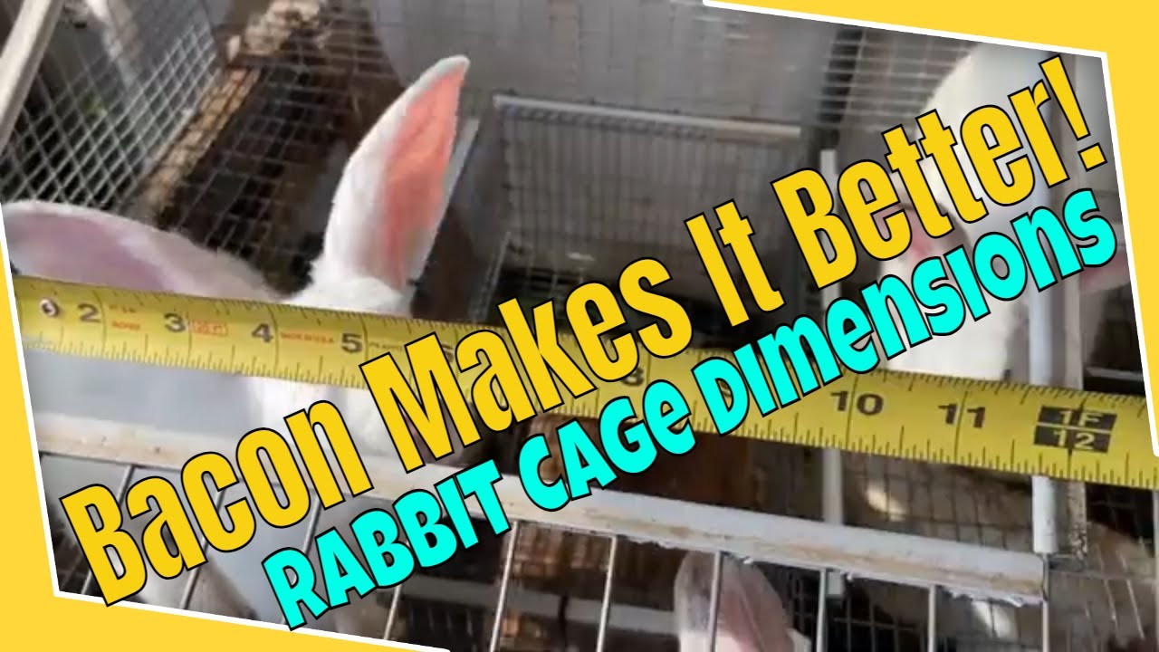 Bacon Makes it Better! Rabbit Cage Dimensions YouTube