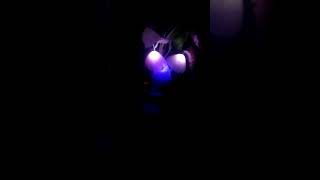 Room light #foryou #vairalvideo #viral #foryou #shorts #ilght#tack Bangla @MOSIAR04