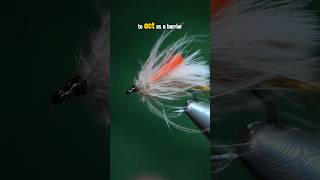 Cornfed Caddis! #Fliegenfischen #Fliegenbinden #Fliegenbinden