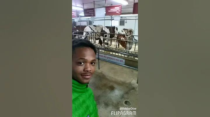 ME AND BAE AND FRIENDS