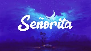 Shawn Mendes - Señorita (Lyrics)