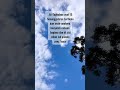 #shortvideo #shortsfeed #shorts