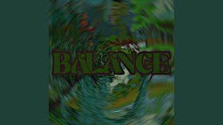 Balance Net Worth